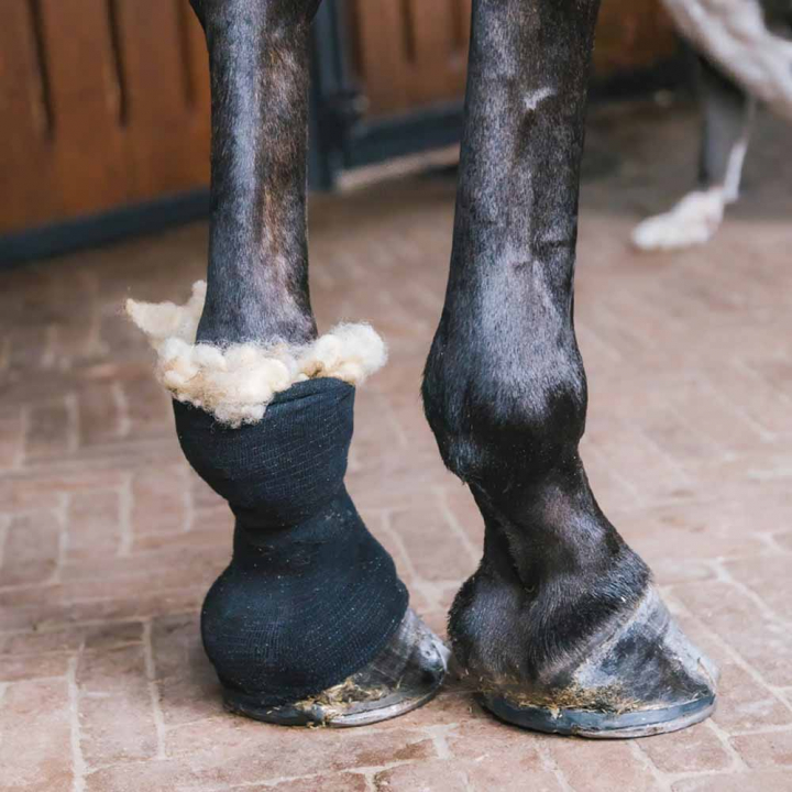 Wełna Terapeutyczna 150g Natural w grupie Pielęgnacja i zdrowie / Masaż i krążenie krwi przy Equinest (42427NAT)