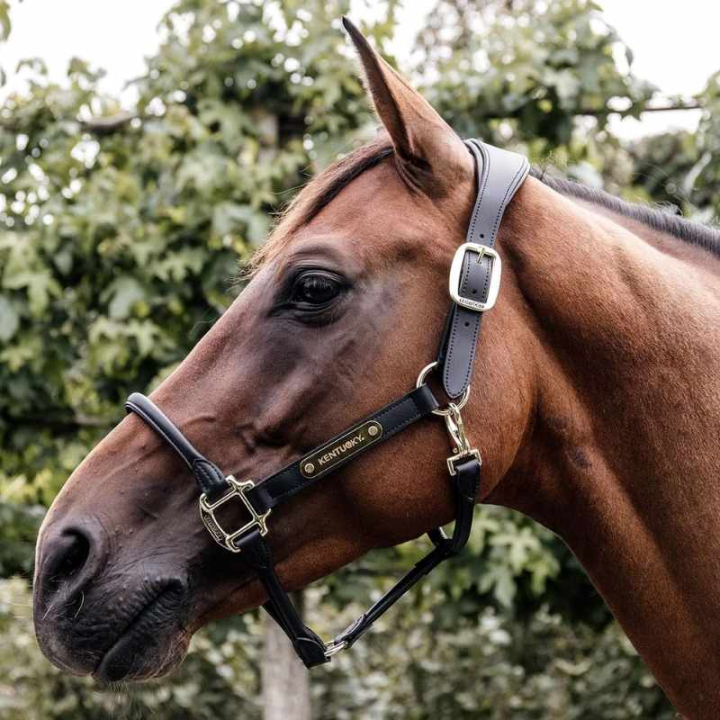 Kantar anatomiczny Syntetyczna skóra czarny w grupie Sprzęt dla konia / Kantary / Kantary skórzane przy Equinest (42513Sv_r)