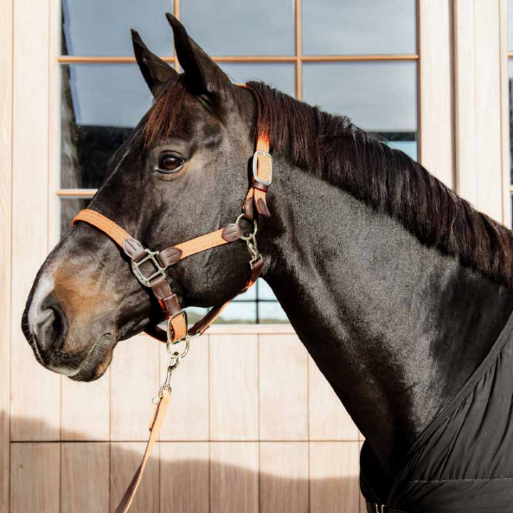 Kantar Plaited Nylon Pomarańczowy w grupie Sprzęt dla konia / Kantary / Kantary materiałowe i nylonowe przy Equinest (4251645COBOR_r)