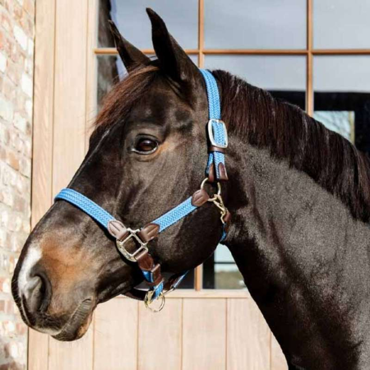 Kantar Plaited Nylon Błękitny w grupie Sprzęt dla konia / Kantary / Kantary materiałowe i nylonowe przy Equinest (4251661COBLBL_r)