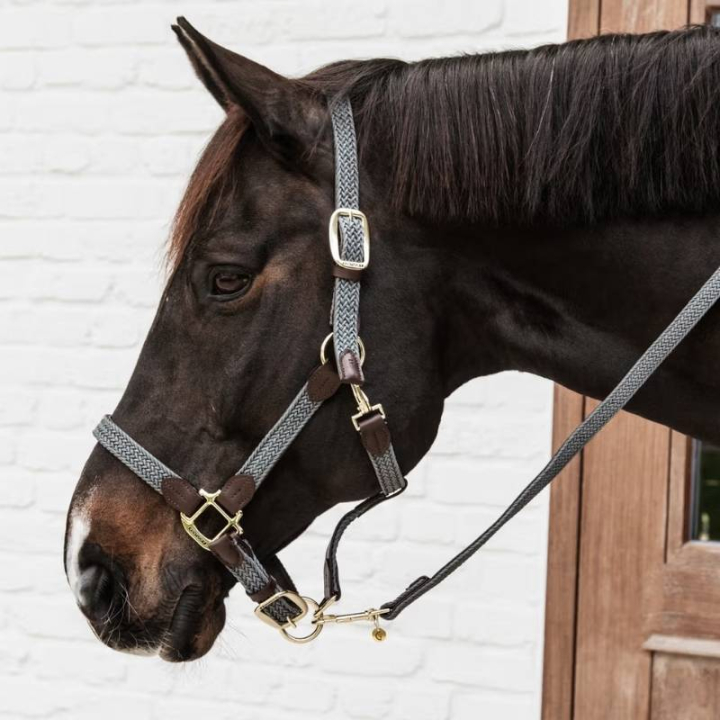 Kantar Plaited Nylon Szary w grupie Sprzęt dla konia / Kantary / Kantary materiałowe i nylonowe przy Equinest (42516Gr_r)
