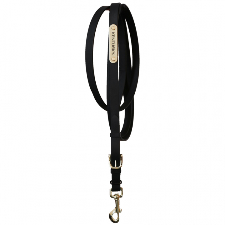 Uwiąz skórzany Presentation Artificial Czarny w grupie Sprzęt dla konia / Uwiązy / Uwiązy skórzane przy Equinest (425270103BA)