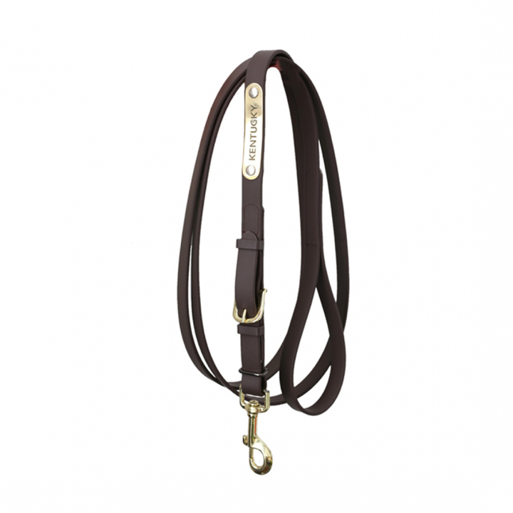 Uwiąz skórzany Presentation Artificial Brązowy w grupie Sprzęt dla konia / Uwiązy / Uwiązy skórzane przy Equinest (425270503BR)