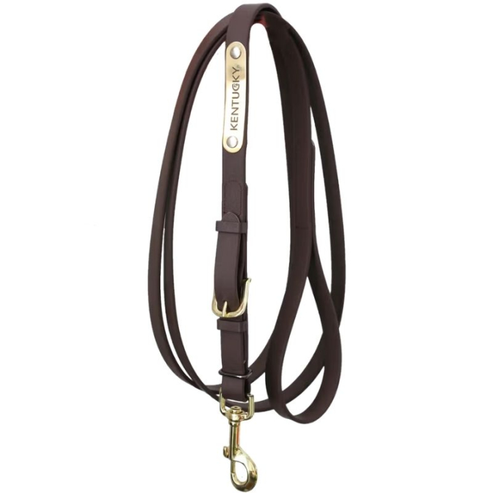 Uwiąz prezentacyjny Artificial Leather Brązowy w grupie Sprzęt dla konia / Uwiązy / Uwiązy skórzane przy Equinest (425270503BR)