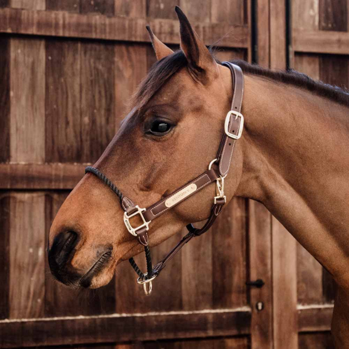 Kantar skórzany Rope Artificial Brązowy w grupie Sprzęt dla konia / Kantary / Kantary skórzane przy Equinest (4254005COBBR_r)