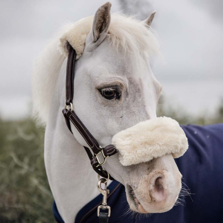 Kantar skórzany Pony Artificial Sheepskin Brąz w grupie Sprzęt dla konia / Kantary / Kantary skórzane przy Equinest (4254105PBR)