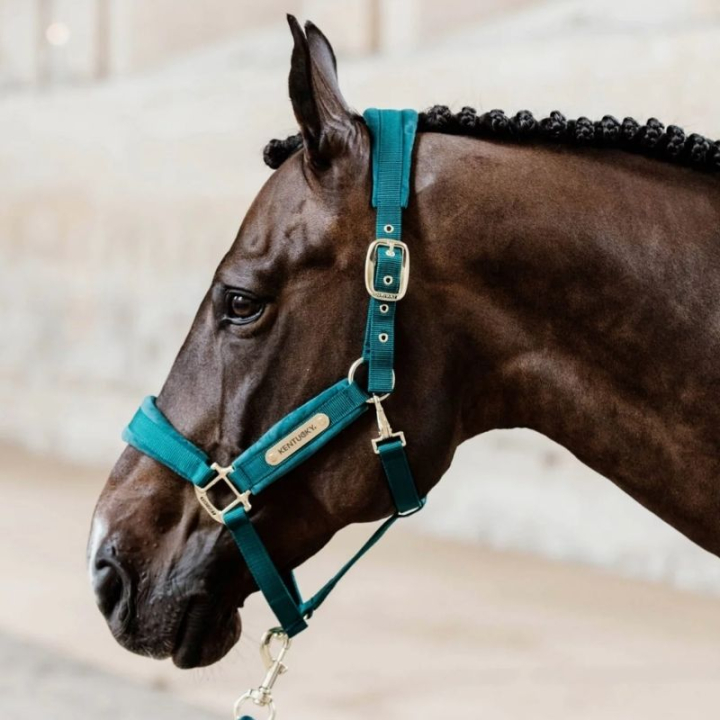 Kantar Velvet Szmaragdowa Zieleń w grupie Sprzęt dla konia / Kantary / Kantary materiałowe i nylonowe przy Equinest (4255871COBSGN_r)