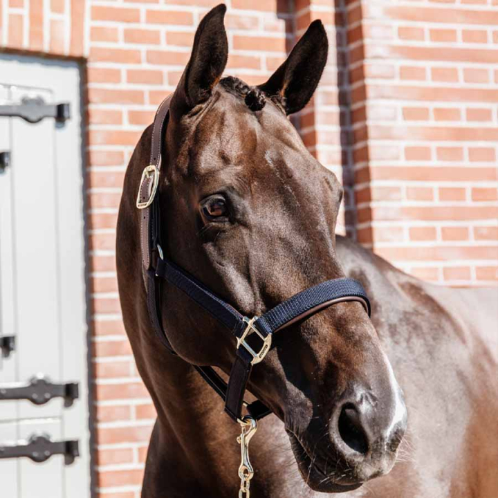 Kantar Anatomic Nylon Granatowy w grupie Sprzęt dla konia / Kantary / Kantary materiałowe i nylonowe przy Equinest (4256003COBNA_r)