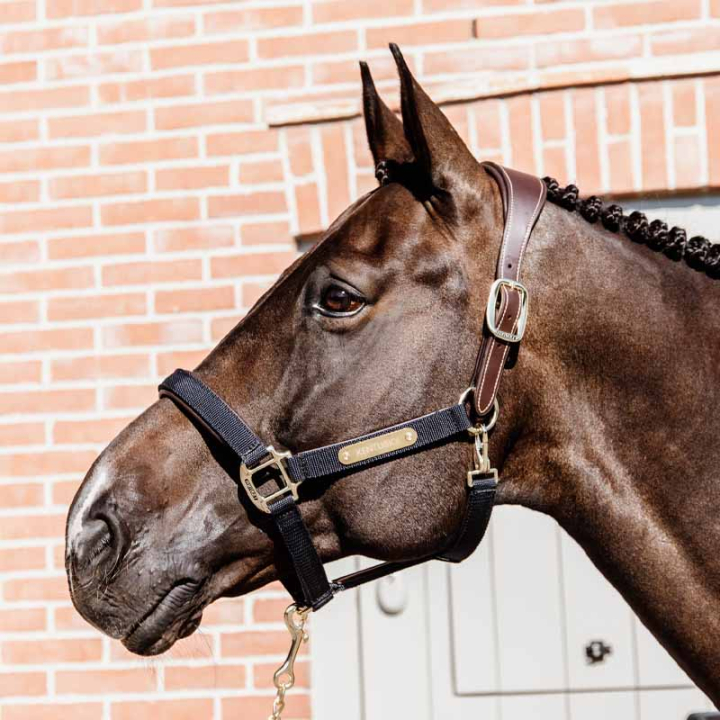 Kantar Anatomic Nylon Granatowy w grupie Sprzęt dla konia / Kantary / Kantary materiałowe i nylonowe przy Equinest (4256003COBNA_r)