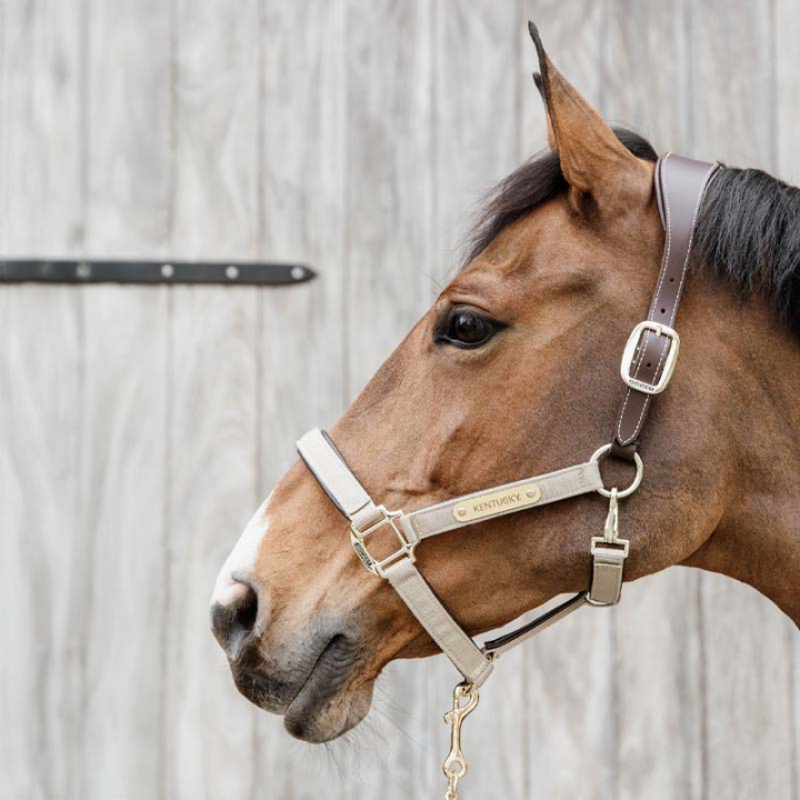 Kantar Anatomic Nylon Beżowy w grupie Sprzęt dla konia / Kantary / Kantary materiałowe i nylonowe przy Equinest (4256032COBBE_r)