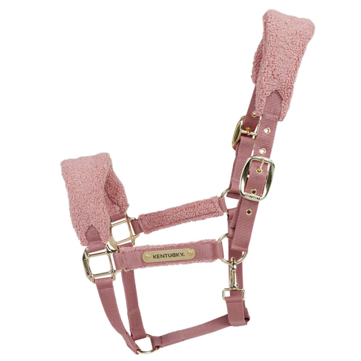 Kantar Teddy Fleece Stary Róż w grupie Sprzęt dla konia / Kantary / Kantary materiałowe i nylonowe przy Equinest (4257310COBOPI_r)