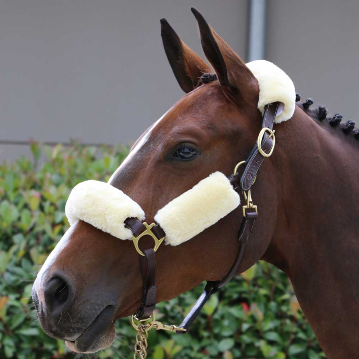 Zestaw futerek na kantar Sheepskin-set Natural w grupie Sprzęt dla konia / Ogłowia i naczółki / Futerka ochronne do ogłowia przy Equinest (42603NA)