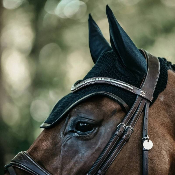 Nauszniki Wellington Leather Czarne w grupie Sprzęt dla konia / Nauszniki przy Equinest (4261201FBA_r)