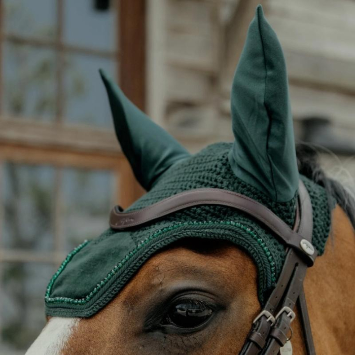 Nauszniki Wellington Velvet Pearls Zielone w grupie Sprzęt dla konia / Nauszniki przy Equinest (4262903PGN)