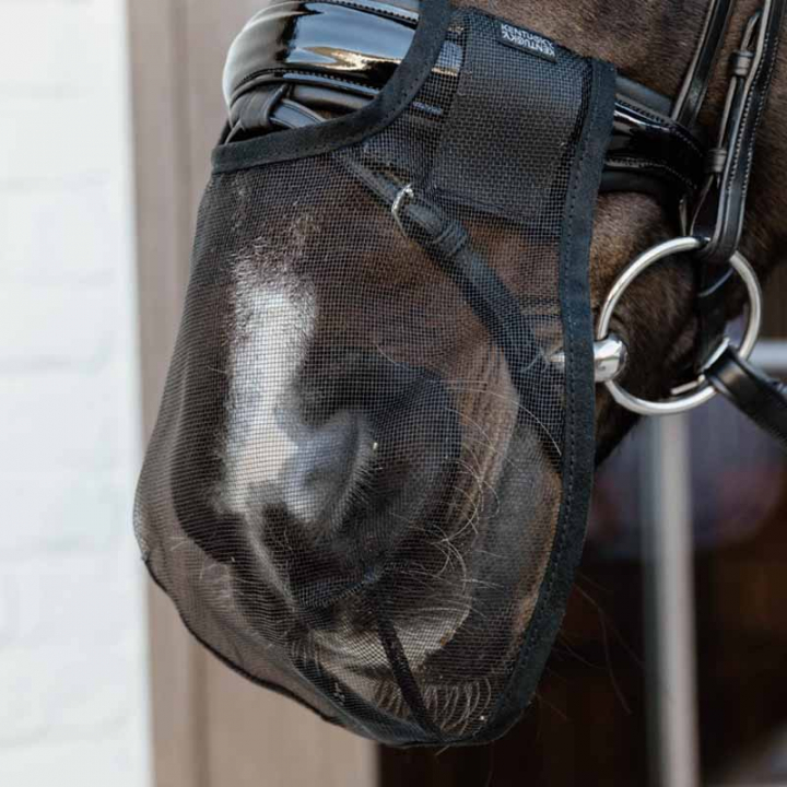 Siatka na nos Anti Fly Czarna w grupie Sprzęt dla konia / Ogłowia i naczółki / Akcesoria do ogłowia przy Equinest (4266301FBA_r)