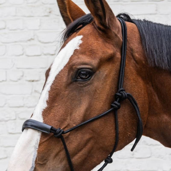 Kantar sznurkowy Grooming Deluxe Czarny w grupie Sprzęt dla konia / Kantary / Kantary dla źrebiąt przy Equinest (4268601COBBA_r)