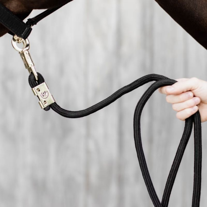 Uwiąz Panic Hook Czarny w grupie Sprzęt dla konia / Uwiązy / Uwiązy nylonowe i bawełniane przy Equinest (4270901200BA)