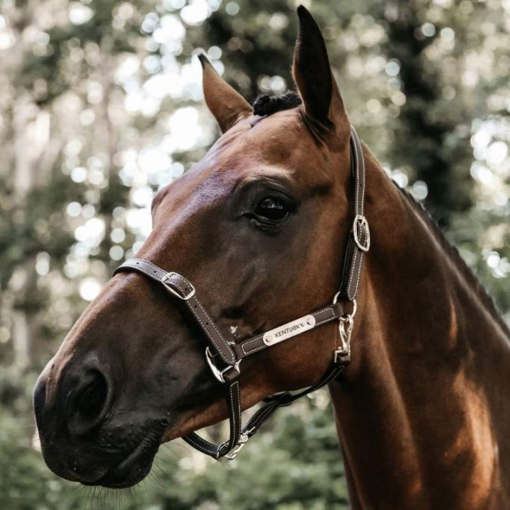 Kantar skórzany Artificial Anatomic Flexible Brązowy w grupie Sprzęt dla konia / Kantary / Kantary skórzane przy Equinest (4271205COBBR_r)