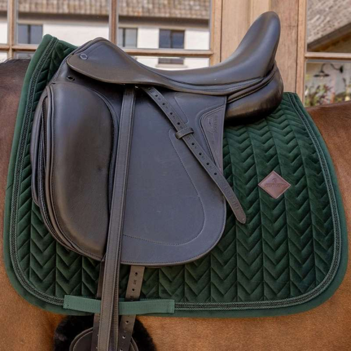 Czaprak ujeżdżeniowy Velvet Mini Pearls Zielony w grupie Sprzęt dla konia / Czapraki / Czapraki ujeżdżeniowe przy Equinest (4275074DRGN_r)