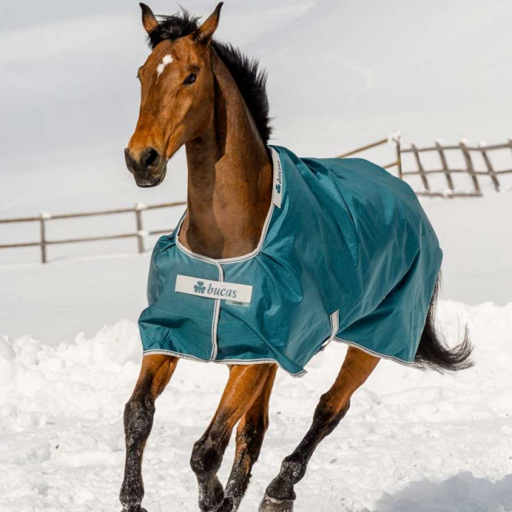 Derka zimowa Atlantic Turnout 400g Zielona w grupie Derki dla koni / Derki padokowe / Derki zimowe przy Equinest (44015-07-400g-Gn_r)