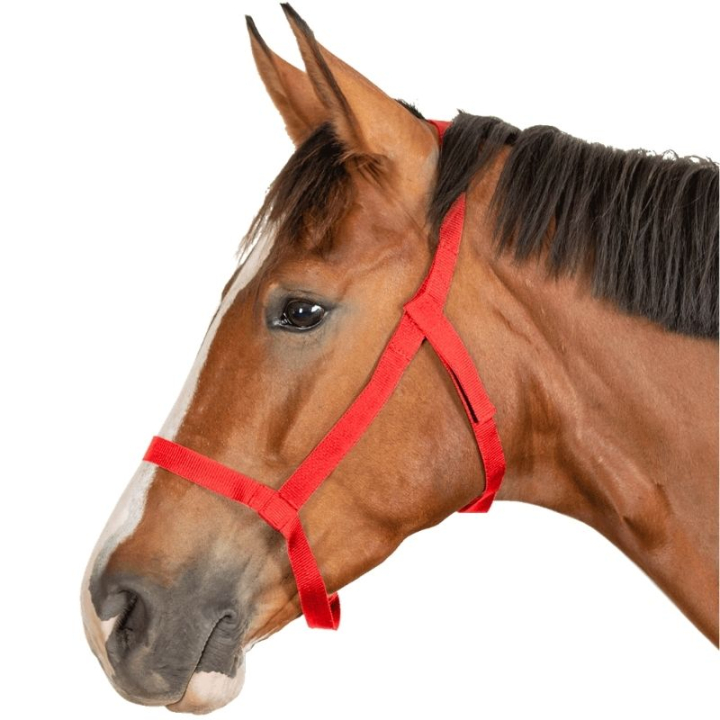 Kantar pastwiskowy Grazing Czerwony w grupie Sprzęt dla konia / Kantary / Kantary materiałowe i nylonowe przy Equinest (5045304PRE_r)
