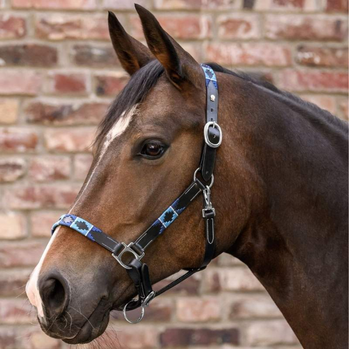 Kantar skórzany Polo X-Line Czarno/Niebieski w grupie Sprzęt dla konia / Kantary / Kantary skórzane przy Equinest (5050701PBABL_r)