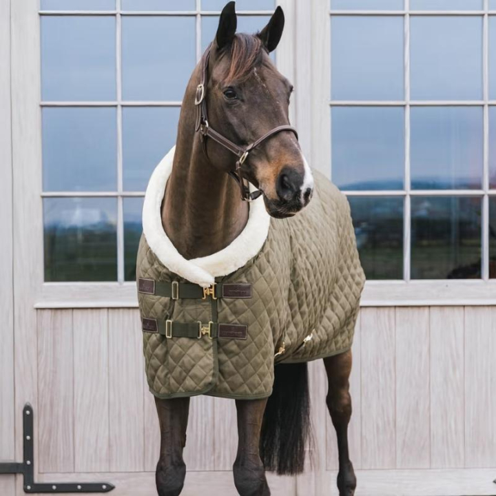 Derka konkursowa/stajenna 160g Zielona w grupie Derki dla koni / Derki konkursowe i transportowe przy Equinest (52101LGN)