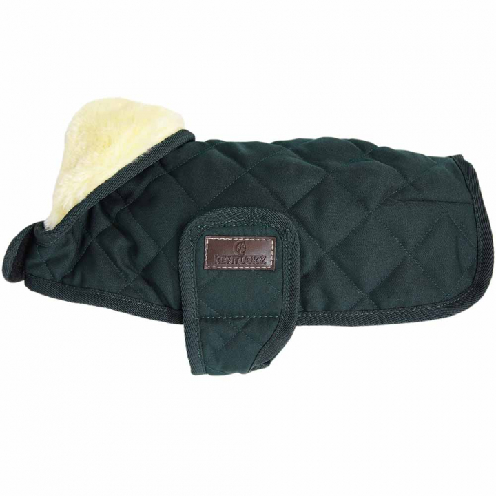 Derka dla psa Original Zielona w grupie Pies / Derki i sweterki dla psa przy Equinest (52104Gn_r)