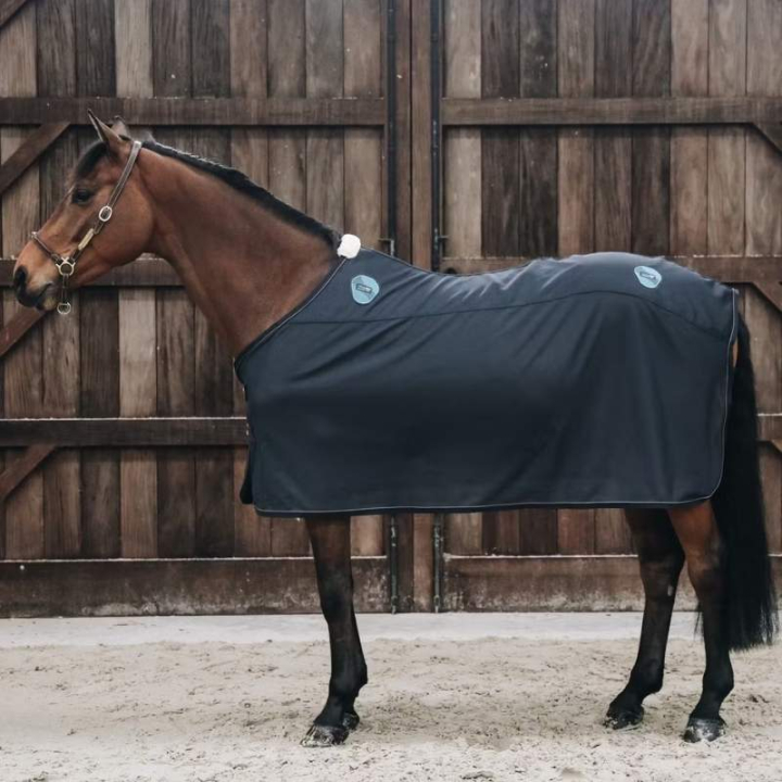 Derka magnetyczna Magnetic Recuptex Granatowa w grupie Pielęgnacja i zdrowie / Masaż i krążenie krwi przy Equinest (52151NA)