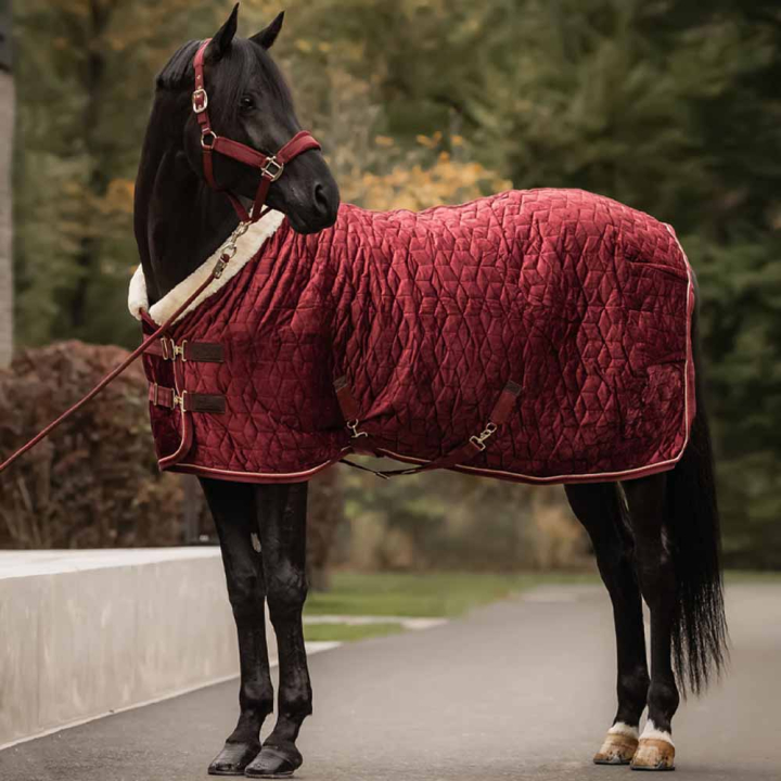 Derka konkursowa Velvet Bordowa w grupie Derki dla koni / Derki konkursowe i transportowe przy Equinest (52171Vn_r)