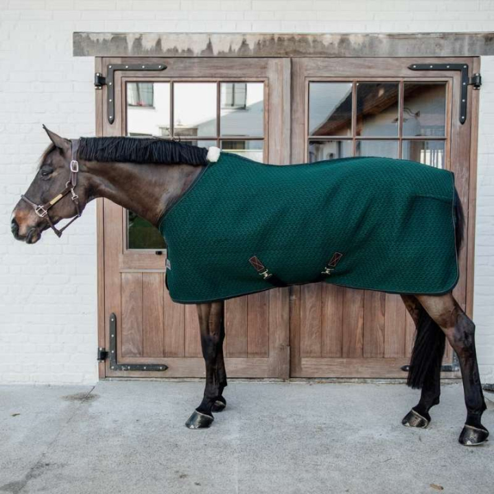 Derka osuszająca 4D Spacer Zielona w grupie Derki dla koni / Derki osuszające przy Equinest (52183PGN)