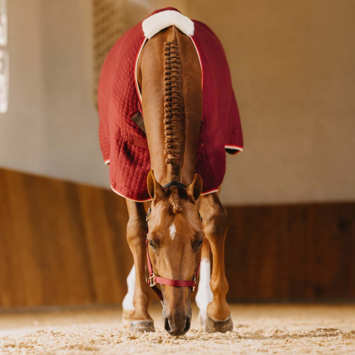 Derka osuszająca PROTherm Bordowa w grupie Derki dla koni / Derki osuszające przy Equinest (52231RE_r)