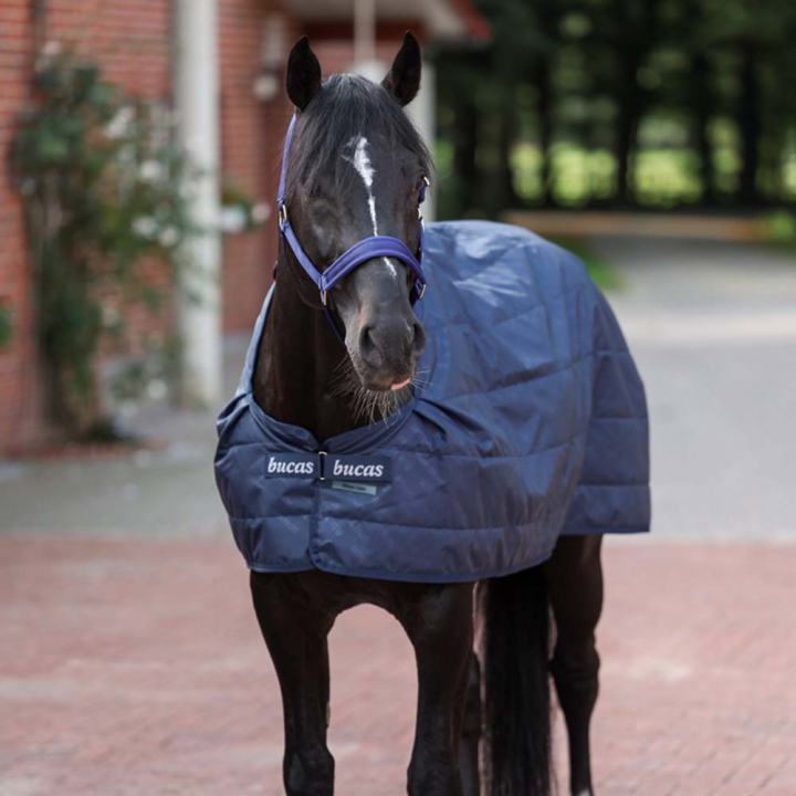 Podpinka do derki Layer 200g Granatowa w grupie Derki dla koni / Podpinki do derek przy Equinest (55235BL)