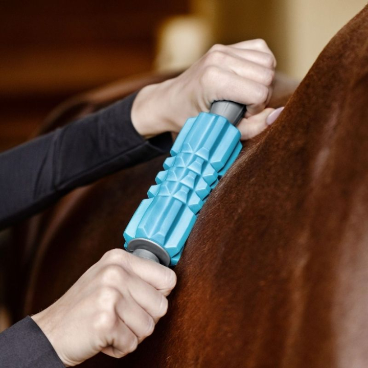 Wałek do masażu Fascia Fit Błękitny w grupie Pielęgnacja i zdrowie / Masaż i krążenie krwi przy Equinest (5700700LBL)