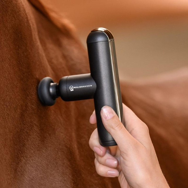 Masażer Pocket Relax Czarny w grupie Pielęgnacja i zdrowie / Masaż i krążenie krwi przy Equinest (5701000BA)