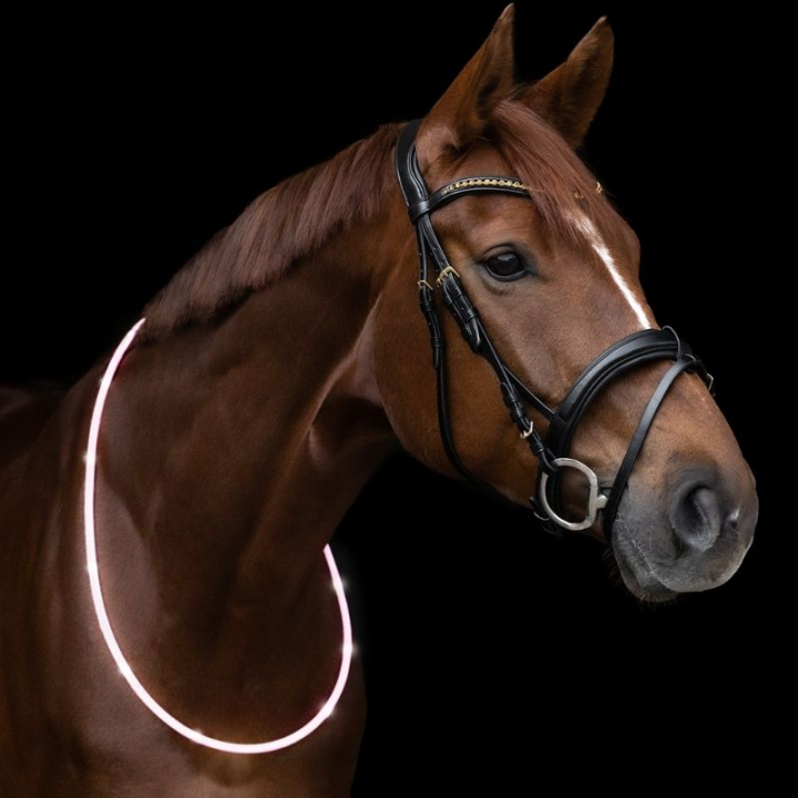 Odblask Neck Ring LED Light Biały w grupie Sprzęt dla jeźdźca / Odblaski i refleksy przy Equinest (5733402WH)