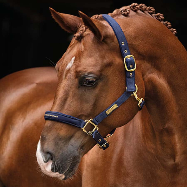 Kantar HS Equestrian Life Granatowy w grupie Sprzęt dla konia / Kantary / Kantary materiałowe i nylonowe przy Equinest (600543NA_r)