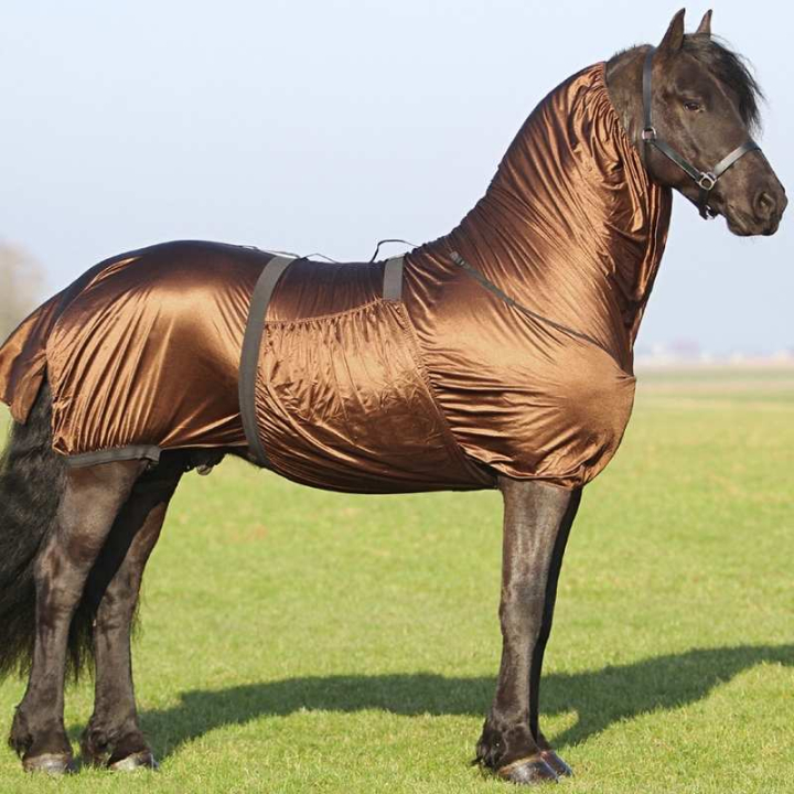 Derka egzemowa Big Neck Brązowa w grupie Derki dla koni / Derki przeciw owadom i Derki egzemowe przy Equinest (6005BR18BR_r)