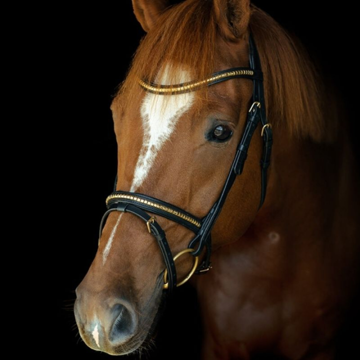 Ogłowie HS Clincher Aachen Czarne w grupie Sprzęt dla konia / Ogłowia i naczółki / Ogłowia przy Equinest (603350BA_r)