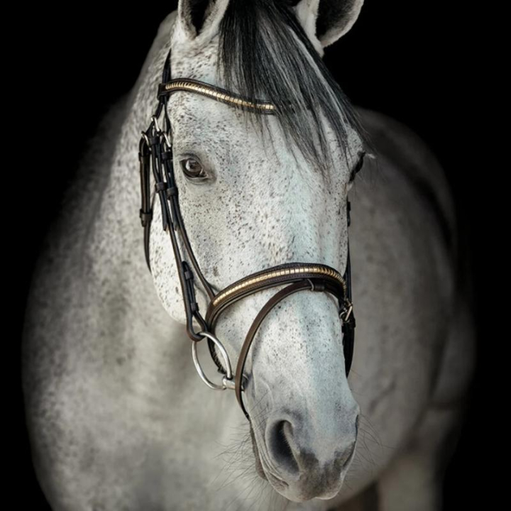 Ogłowie HS Clincher Aachen Brązowe w grupie Sprzęt dla konia / Ogłowia i naczółki / Ogłowia przy Equinest (603353BR_r)