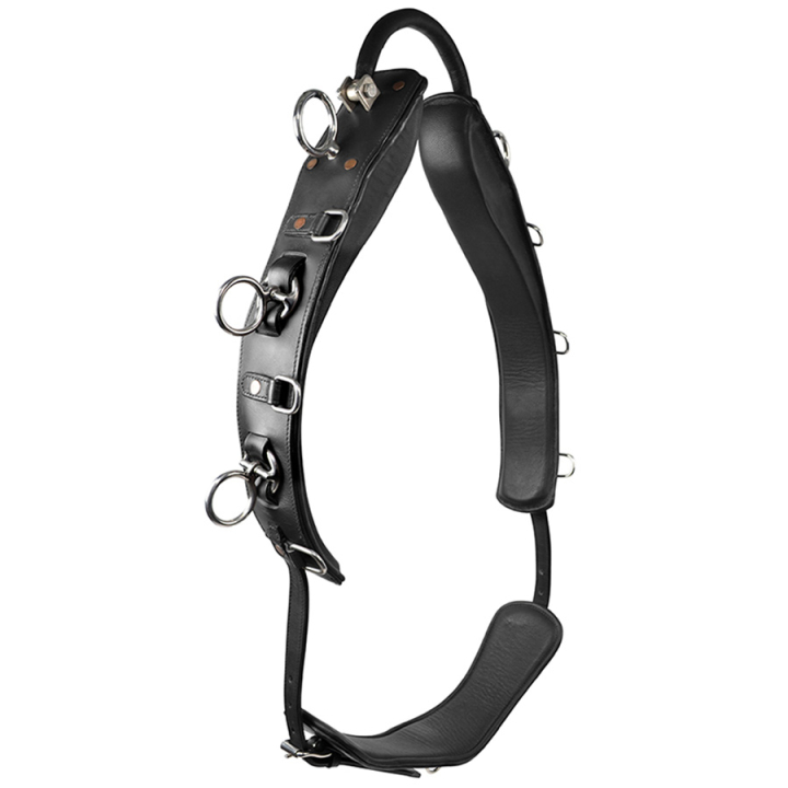 Pas do pracy z ziemi z łukiem HS Czarny w grupie Sprzęt dla konia / Lonżowanie i praca z ziemi przy Equinest (603953BA)