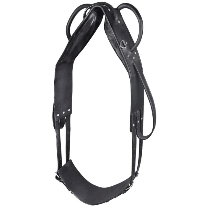 Pas do woltyżerki Leather Czarny w grupie Sprzęt dla konia / Lonżowanie i praca z ziemi przy Equinest (608001POBA_r)