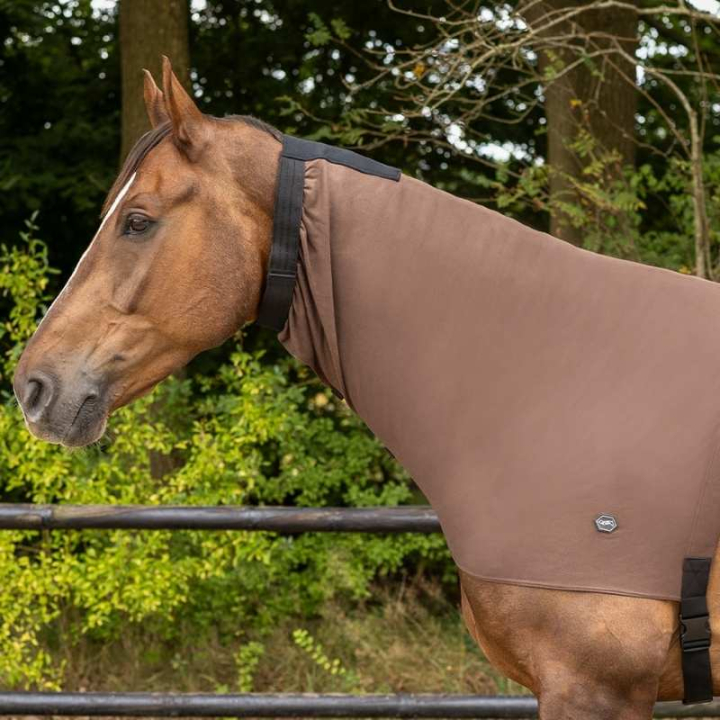 Kaptur egzemowy Elastic Brązowy w grupie Derki dla koni / Kaptury przy Equinest (6092BRXSBR_r)