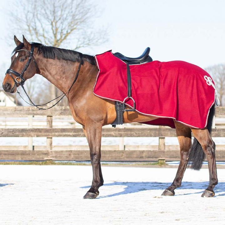 Derka treningowa Ornament Fleece Bordowo/Srebrna w grupie Derki dla koni / Derki treningowe przy Equinest (6106BOZILWN_r)