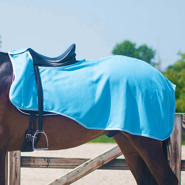 Derka treningowa Color Fleece Niebieska w grupie Derki dla koni / Derki treningowe przy Equinest (6145BLUE)