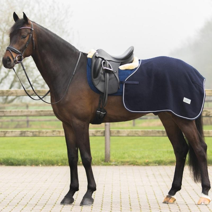 Derka treningowa Wool Quarter Granatowa w grupie Derki dla koni / Derki treningowe przy Equinest (6149NALNA_r)