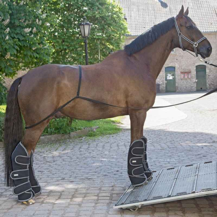 Pas do załadunku Transport Aid  Czarny w grupie Sprzęt dla konia / Transport przy Equinest (6178200BA)