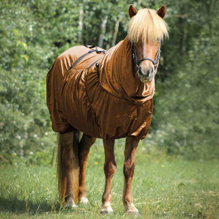 Derka egzemowa Icelandic UV-Protection Brązowa w grupie Ochrona przed owadami / Derki przeciw owadom przy Equinest (6212BRZ165BZ_r)