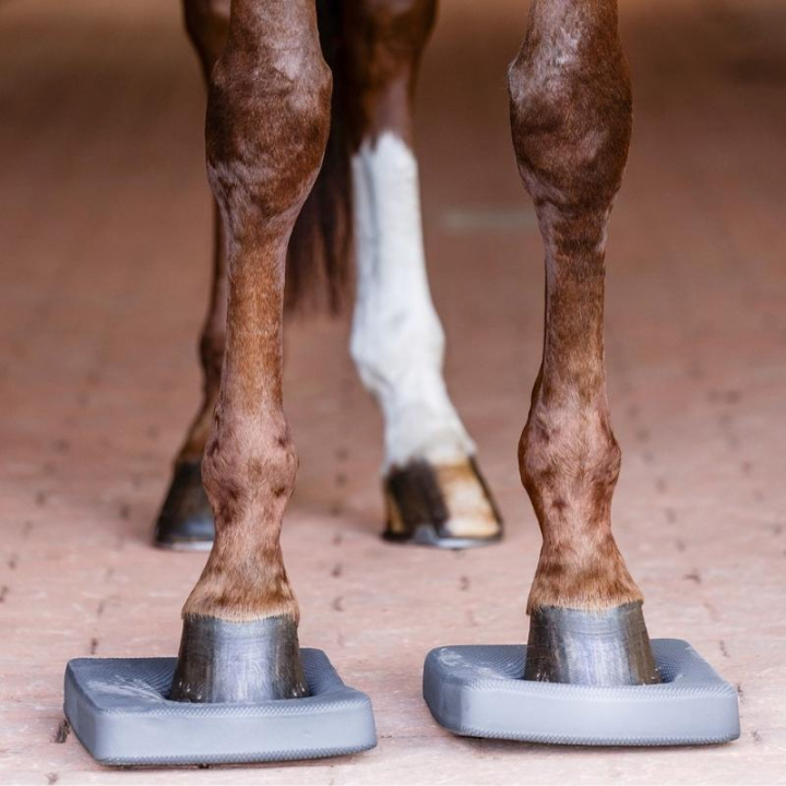 Podkładki balansowe 2 szt. Szare w grupie Sprzęt dla konia / Akcesoria dla konia przy Equinest (6319610GR)