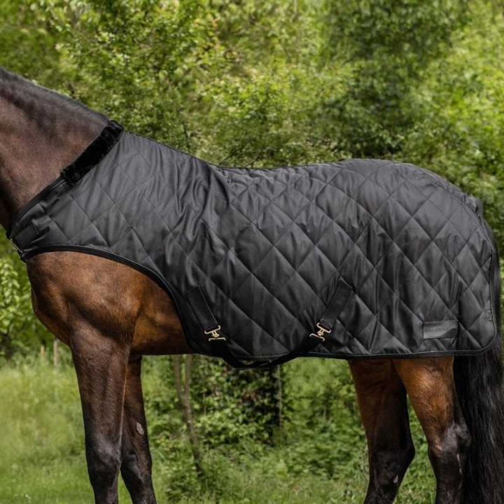 Derka na karuzelę Exclusive 50g Czarna w grupie Derki dla koni / Derki na karuzelę przy Equinest (63306011BA_r)